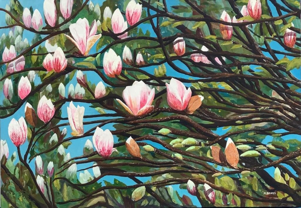 Magnolias