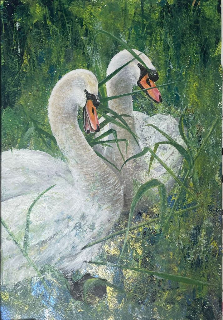 2 swans in grass