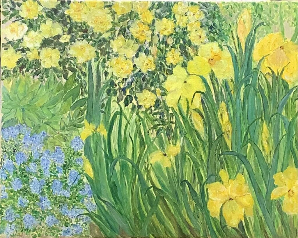 Daffodils