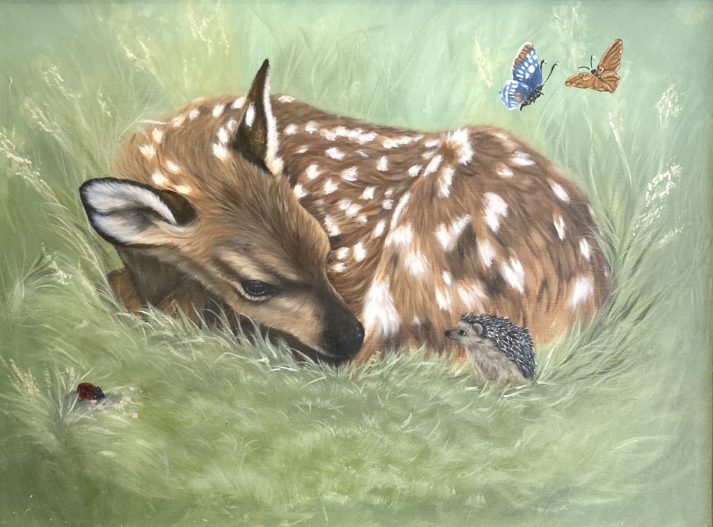 Fawn lying in grass with butterflies overhead