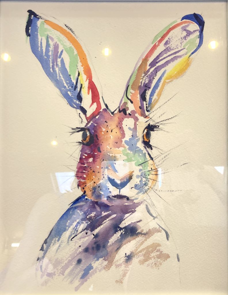 Multicoloured Hare