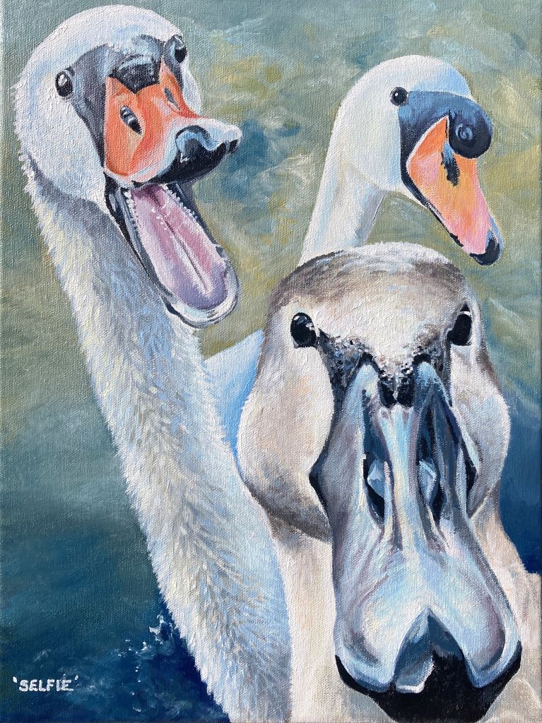 Portrait of 3 swans and a signet